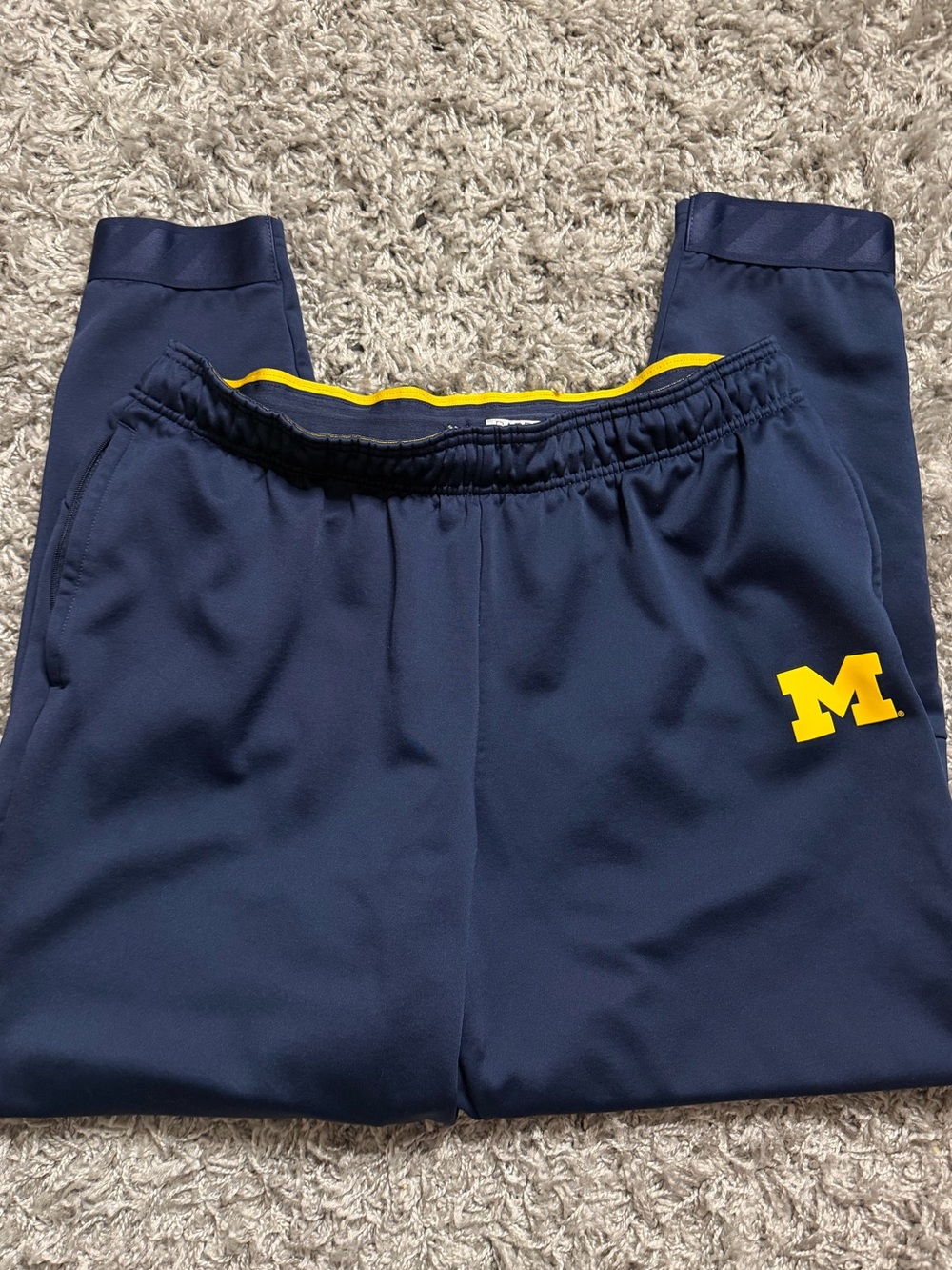 Nike Michigan Sweatpants